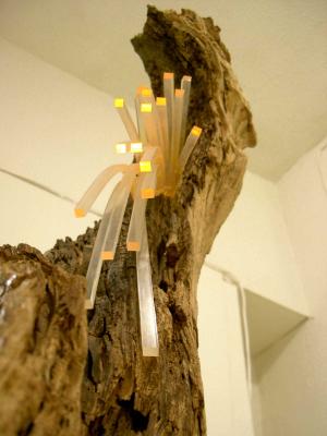 Simbiosis -Detail- - Martina Doll - auf - Array - Simbiosis -Detail- - Martina Doll - auf - Array -