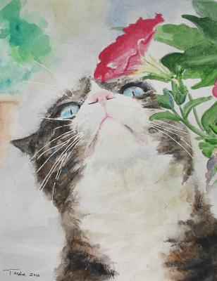 Die Bewunderung - Tasha Heine - Array auf Array - Array - Array Die Bewunderung - Tasha Heine - Array auf Array - Array - Array