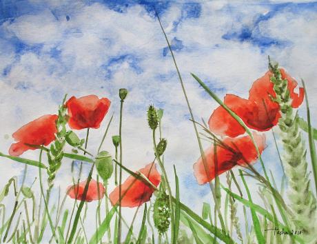 Mohn im Gras - Tasha Heine - Array auf Array - Array - Array Mohn im Gras - Tasha Heine - Array auf Array - Array - Array