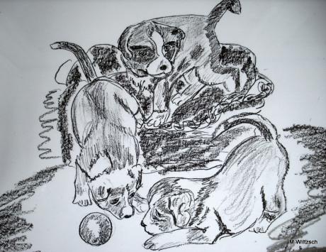 Achtung fertig los - Mario Wiltzsch - auf - Array - Achtung fertig los - Mario Wiltzsch - auf - Array -