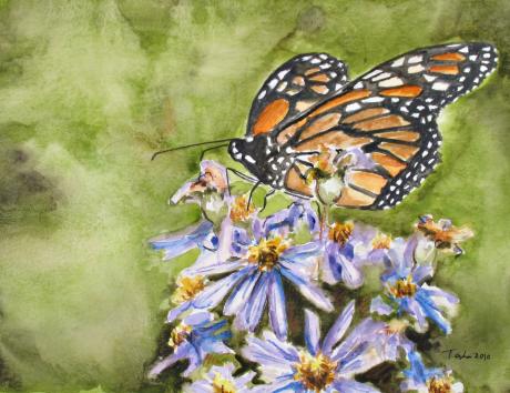 Monarch - Tasha Heine - Array auf Array - Array - Array Monarch - Tasha Heine - Array auf Array - Array - Array