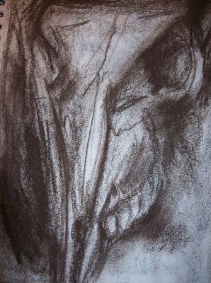 ---Rinderschädelknochen - Beate Weinstein - auf - Array - ---Rinderschädelknochen - Beate Weinstein - auf - Array -