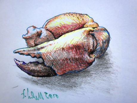 Scherenfund am Strand - Felix Unckell - Array auf Array - Array - Scherenfund am Strand - Felix Unckell - Array auf Array - Array -