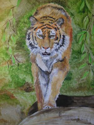 Tigerwoods - Mario Rischke - Array auf Array - Array - Array Tigerwoods - Mario Rischke - Array auf Array - Array - Array