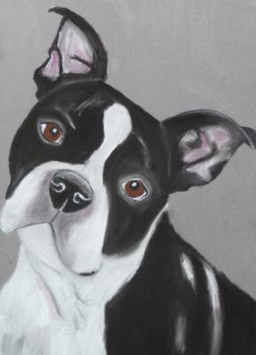 Sam - Anneke Freudenberger - Array auf Array - Array - Array Sam - Anneke Freudenberger - Array auf Array - Array - Array