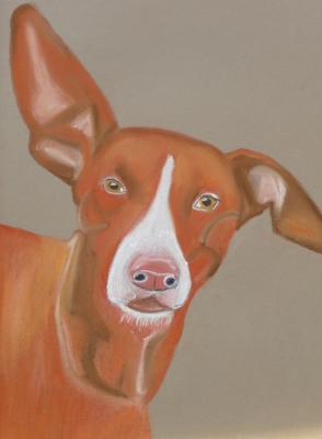 Theo - Anneke Freudenberger - Array auf Array - Array - Array Theo - Anneke Freudenberger - Array auf Array - Array - Array