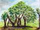Baumgruppe - Beate Weinstein - auf - Landschaft - Baumgruppe - Beate Weinstein - auf - Landschaft -