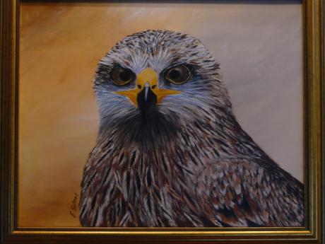 Roter Milan - Edith Schroll - Array auf Array - Array - Array Roter Milan - Edith Schroll - Array auf Array - Array - Array