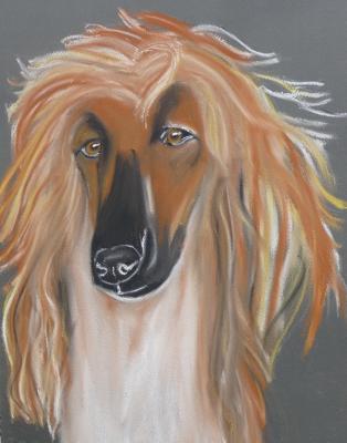 Sanando - Anneke Freudenberger - Array auf Array - Array - Array Sanando - Anneke Freudenberger - Array auf Array - Array - Array