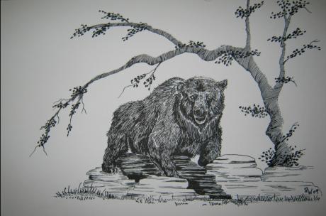 Grizzly - Sabina Breden - Array auf - Array - Grizzly - Sabina Breden - Array auf - Array -