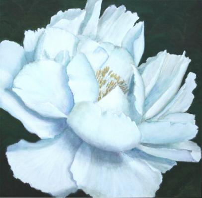 Päonie, weiß-grün - Barbara - BaSto Stolzenhain - Array auf Array - Array - Array Päonie, weiß-grün - Barbara - BaSto Stolzenhain - Array auf Array - Array - Array