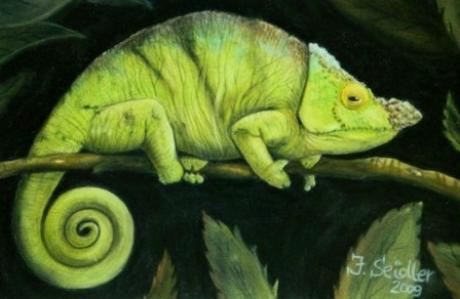 Chamäleon auf einem Ast - Jana Seidler - Array auf Array - Array - Array Chamäleon auf einem Ast - Jana Seidler - Array auf Array - Array - Array