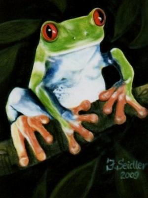 Rotaugenfrosch - Jana Seidler - Array auf Array - Array - Array Rotaugenfrosch - Jana Seidler - Array auf Array - Array - Array