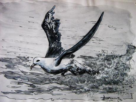 Hamburger Möve - Mirdza Bong - Array auf Array - Array - Array Hamburger Möve - Mirdza Bong - Array auf Array - Array - Array