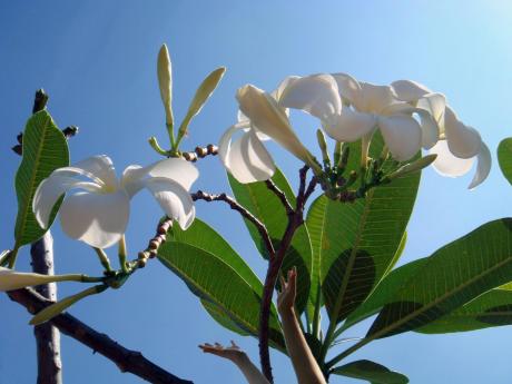 Freiheit - micha vRhein - Array auf Array - Array - Array Freiheit - micha vRhein - Array auf Array - Array - Array