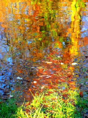 Am Wasser - Wolfgang Bergter - Array auf Array - Array - Array