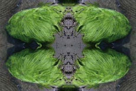 Steine im Mantel -  megado -  auf  - Array - 