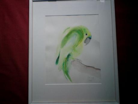 papagei blaustirnamazone - tompaint - Array auf Array - Array - papagei blaustirnamazone - tompaint - Array auf Array - Array -