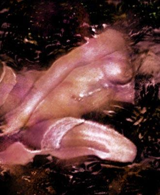 Akt in Ekstase - Franz Engel. - Array auf - Array - Akt in Ekstase - Franz Engel. - Array auf - Array -