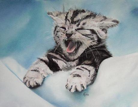 little kitty paula - Erhard Sünder - Array auf - Array - Array little kitty paula - Erhard Sünder - Array auf - Array - Array