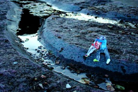 Watership Down - Verena Schöning - Array auf - - Watership Down - Verena Schöning - Array auf - -