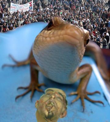 Aufstand gegen Despoten - micha vRhein - Array auf - Array - Aufstand gegen Despoten - micha vRhein - Array auf - Array -