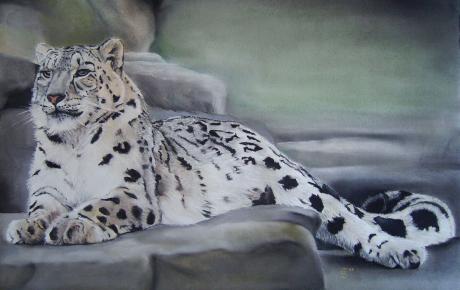 Schneeleopard - Erhard Sünder - auf - - Schneeleopard - Erhard Sünder - auf - -