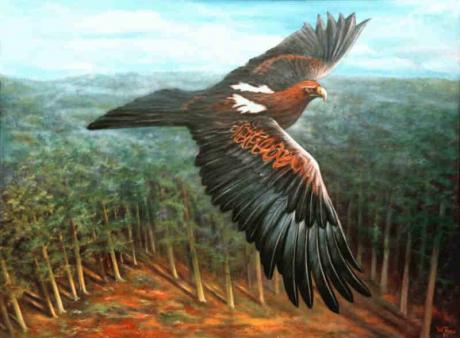 Vogelperspektive - Wolfgang Rose - auf - Array - Vogelperspektive - Wolfgang Rose - auf - Array -