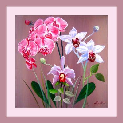 Orchideen - Jörn Joern Werner - Array auf - Array - Orchideen - Jörn Joern Werner - Array auf - Array -