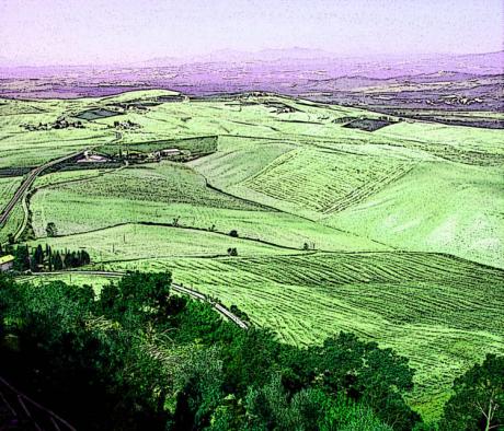 Der grüne Blick - Timm-H. Wemper - auf - Array - Der grüne Blick - Timm-H. Wemper - auf - Array -