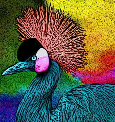 Kronenkranich - Timm-H. Wemper - auf - Array - Kronenkranich - Timm-H. Wemper - auf - Array -