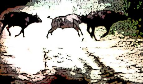 Wasserbueffel - Timm-H. Wemper - auf - Array - Wasserbueffel - Timm-H. Wemper - auf - Array -