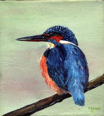 Eisvogel (1996) -Tina Riemer- - Tina Riemer - auf Array - Array - Eisvogel (1996) -Tina Riemer- - Tina Riemer - auf Array - Array -