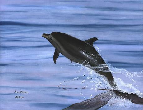 Delfin (2000) -Tina Riemer- - Tina Riemer - auf Array - Array - Delfin (2000) -Tina Riemer- - Tina Riemer - auf Array - Array -