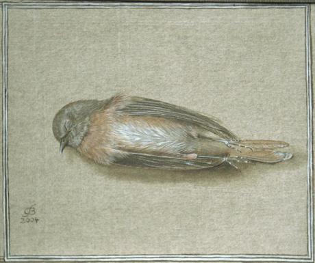 Gartenrotschwänzchen (2004) Christine Becker - Christine Becker - Array auf Array - Array - Gartenrotschwänzchen (2004) Christine Becker - Christine Becker - Array auf Array - Array -