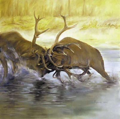 Kampf der Rivalen (2000) Ulf-Peter Schwarz - Ulf-Peter (UP) Schwarz - Array auf Array - Array - Kampf der Rivalen (2000) Ulf-Peter Schwarz - Ulf-Peter (UP) Schwarz - Array auf Array - Array -