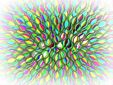 Popping eye 2003 - Hendrik Arie Baartman - Baartman - auf - Array - Popping eye 2003 - Hendrik Arie Baartman - Baartman - auf - Array -