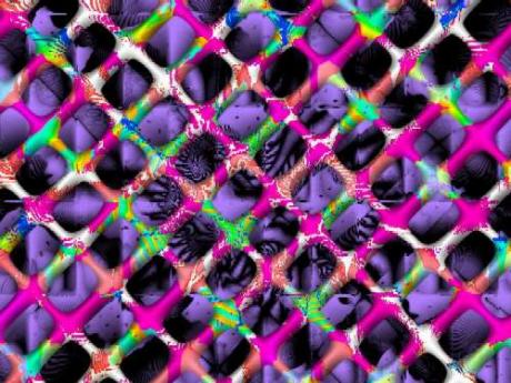 Basis 101 (2003) Hendrik Arie Baartman - Baartman - auf - Array - Basis 101 (2003) Hendrik Arie Baartman - Baartman - auf - Array -