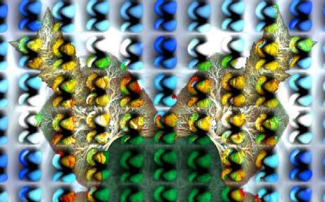 Growing trees (2003) Hendrik Arie Baartman - Baartman - auf - Array - Growing trees (2003) Hendrik Arie Baartman - Baartman - auf - Array -