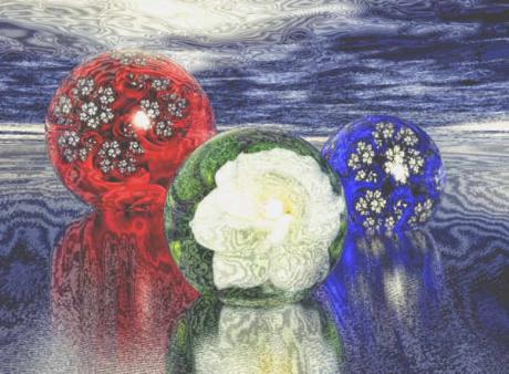 Punta Gorda beach flowers (2004) Hendrik Arie Baar - Baartman - auf - Array - Punta Gorda beach flowers (2004) Hendrik Arie Baar - Baartman - auf - Array -