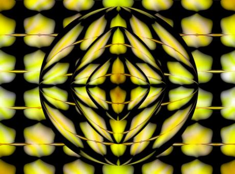 Light dawns for us (2004) - Baartman - auf - Array - Light dawns for us (2004) - Baartman - auf - Array -