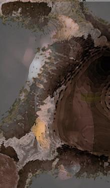 zcx 329 (2002) Bora Turkoglu - Bora Turkoglu - auf - Array - zcx 329 (2002) Bora Turkoglu - Bora Turkoglu - auf - Array -