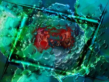 Digital heart 1 (2006) - e-rich - auf - Array - Digital heart 1 (2006) - e-rich - auf - Array -