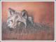 Autumn Wolf - Karin Schnabl - Pastell auf - Sonstiges - Autumn Wolf - Karin Schnabl - Pastell auf - Sonstiges -