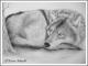Resting Wolf - Karin Schnabl - auf - Sonstiges - Resting Wolf - Karin Schnabl - auf - Sonstiges -