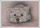 Westie -Pudel - Mix JENNY - Karin Schnabl - Pastell auf - Sonstiges - Westie -Pudel - Mix JENNY - Karin Schnabl - Pastell auf - Sonstiges -