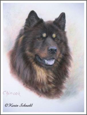 Eurasier CHINOOK - Karin Schnabl - Array auf - Array - Eurasier CHINOOK - Karin Schnabl - Array auf - Array -
