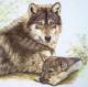 LIEGENDER WOLF mit WELPE - Karin Schnabl - Pastell auf - Sonstiges - LIEGENDER WOLF mit WELPE - Karin Schnabl - Pastell auf - Sonstiges -