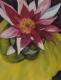 Seerose pink (2001/2002) Monika Hartz - Monika Hartz - Aquarell auf Papier - Sonstiges - Seerose pink (2001/2002) Monika Hartz - Monika Hartz - Aquarell auf Papier - Sonstiges -