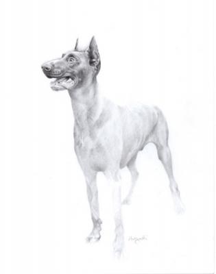 Paco - di Lorenzo Antognetti - LORENZO ANTOGNETTI - auf - Array - Paco - di Lorenzo Antognetti - LORENZO ANTOGNETTI - auf - Array -